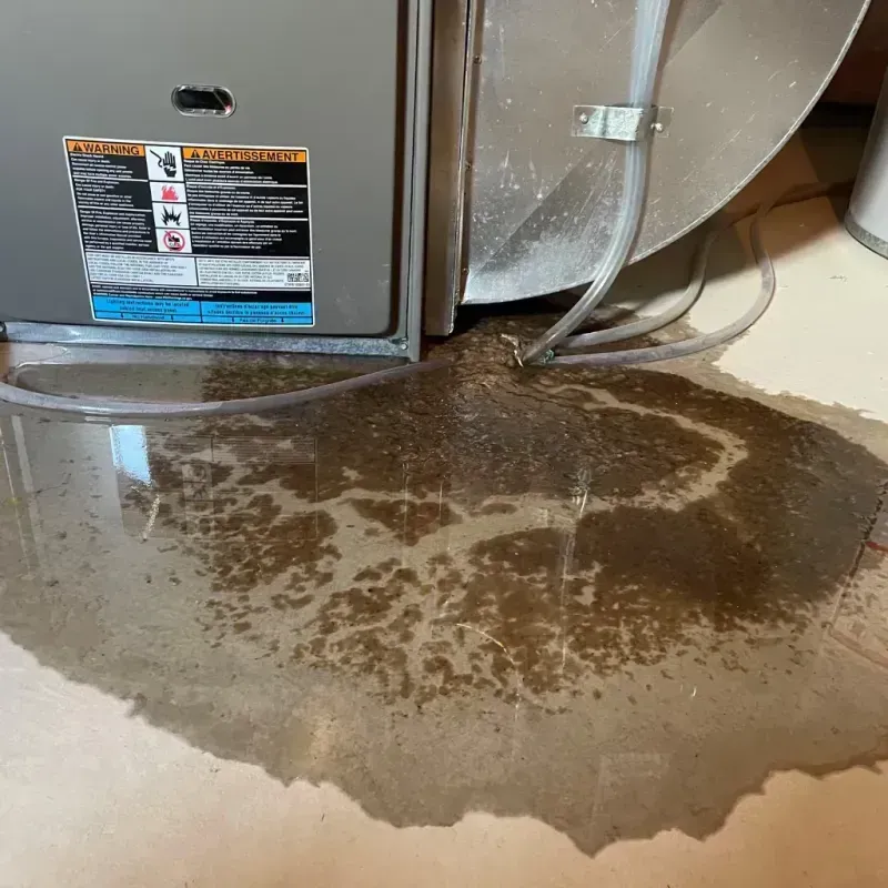 Appliance Leak Cleanup in Ephrata, PA